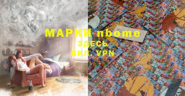 мдпв Верхний Тагил