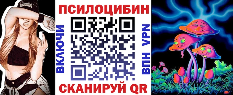 сколько стоит  kraken зеркало  Псилоцибиновые грибы MAGIC MUSHROOMS  Карачев 